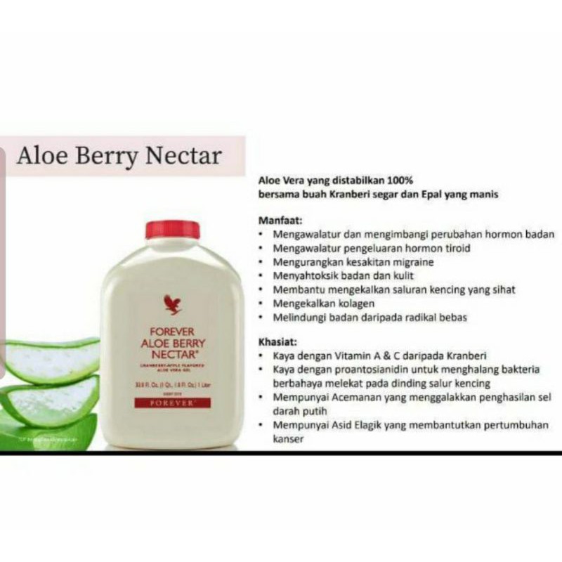 Forever Living Aloe Vera Gel Aloe Berry Nectar Shopee Singapore