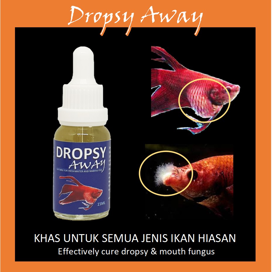 Shop Malaysia Dropsy Away 15ml Cure Your Betta Disease Dropsy Mouth Fungus Anti Bacterial Anti Fungus Shopee Singapore