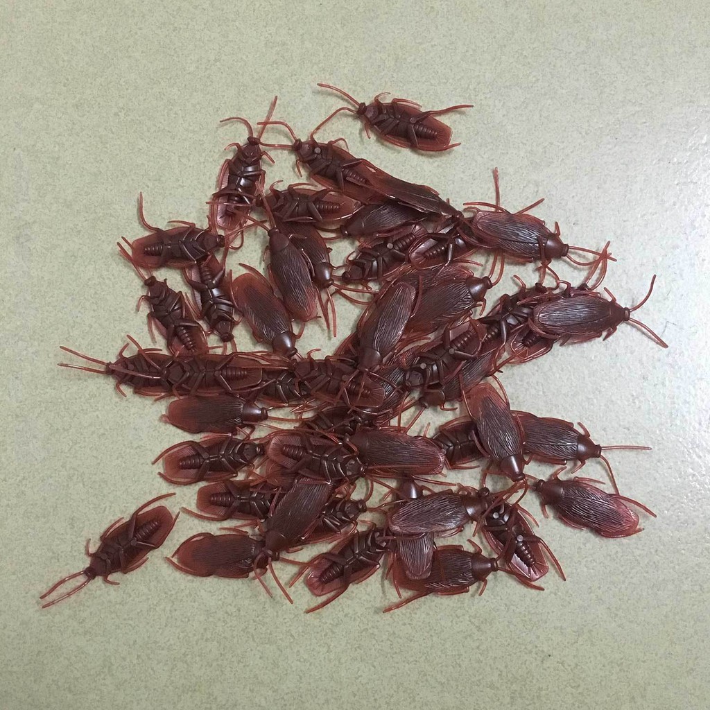 toy cockroaches