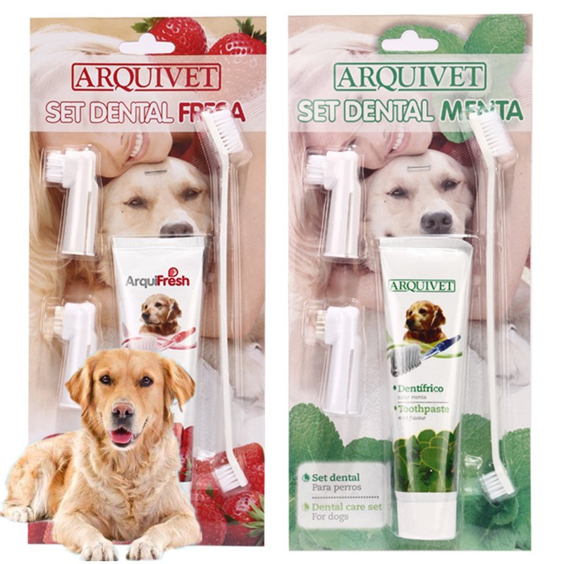 dog toothbrush target