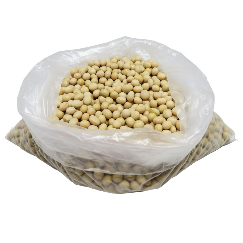 Dried Soy Beans 500g Shopee Singapore