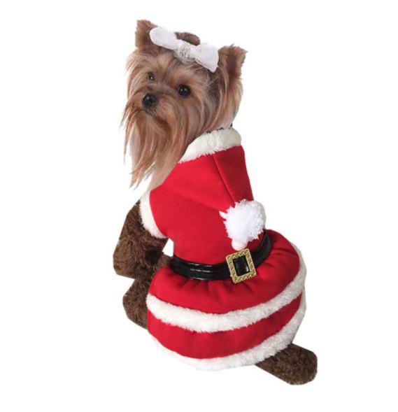 dog xmas costumes