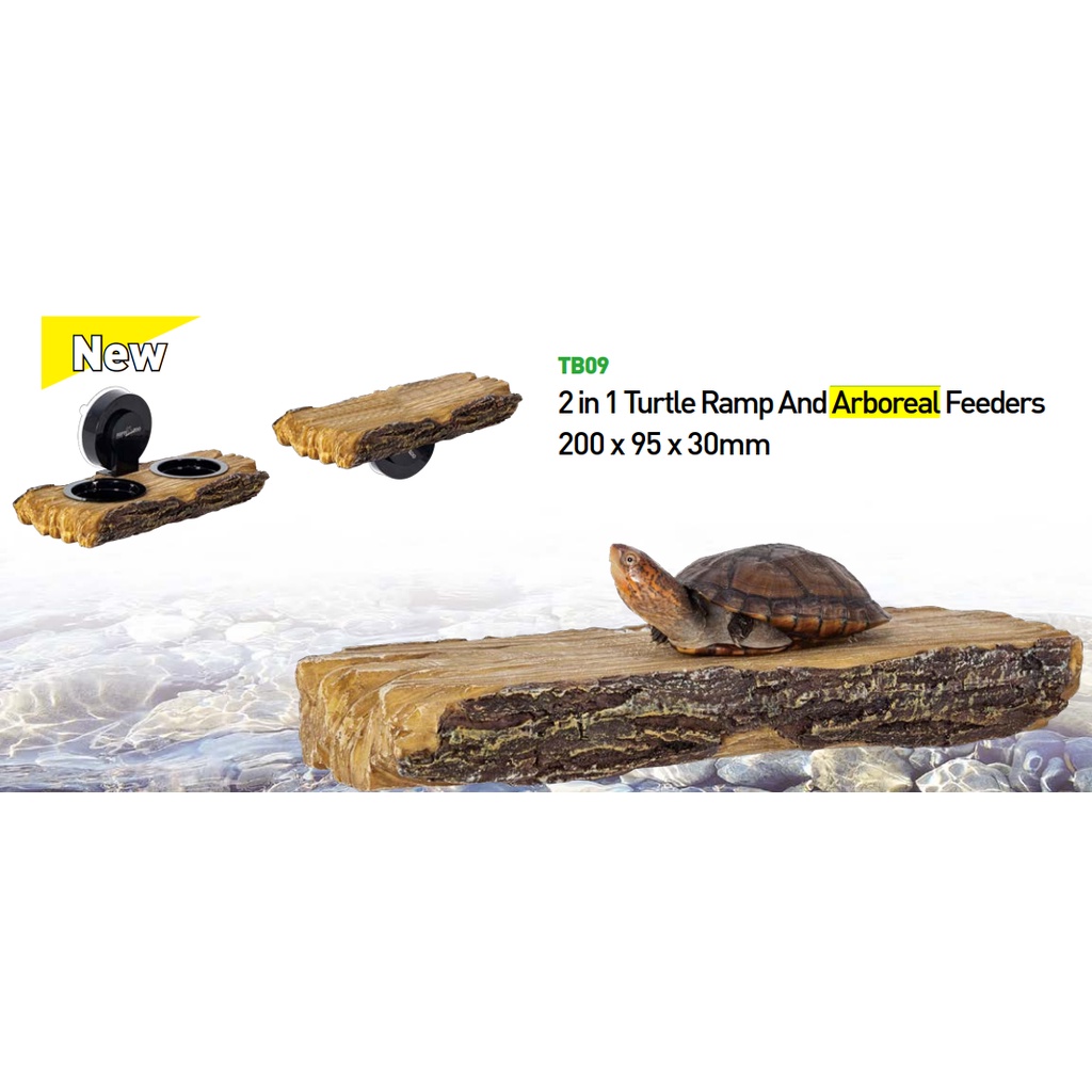 Reptizoo 2 in 1 Turtle Ramp and Aboreal Feeders | Shopee Singapore