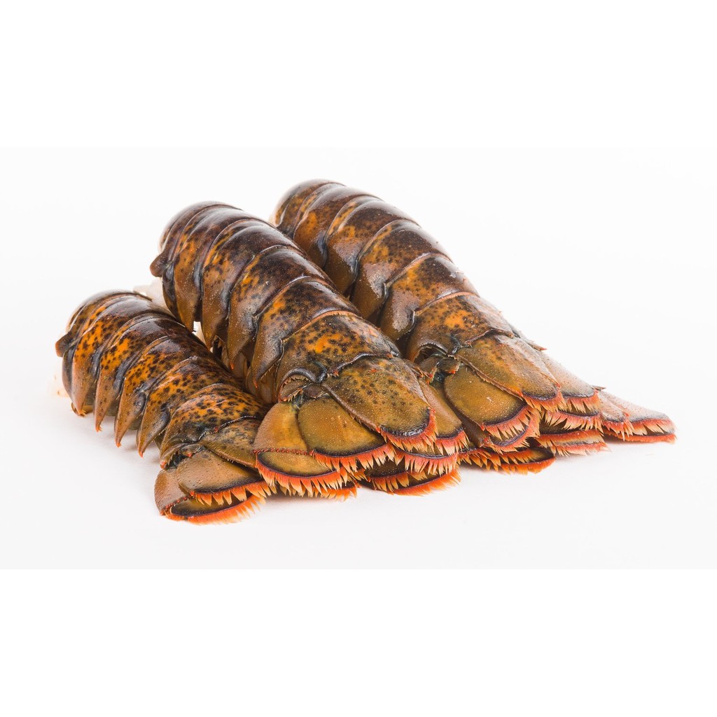 Tropical Rock Lobster Tail (Single Piece)