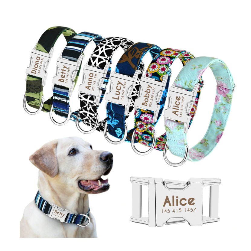 Where to Find Customised Dog Collars in Singapore