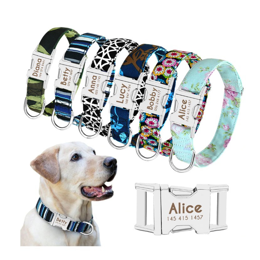 Where to Find Customised Dog Collars in Singapore Smart Dog Daily