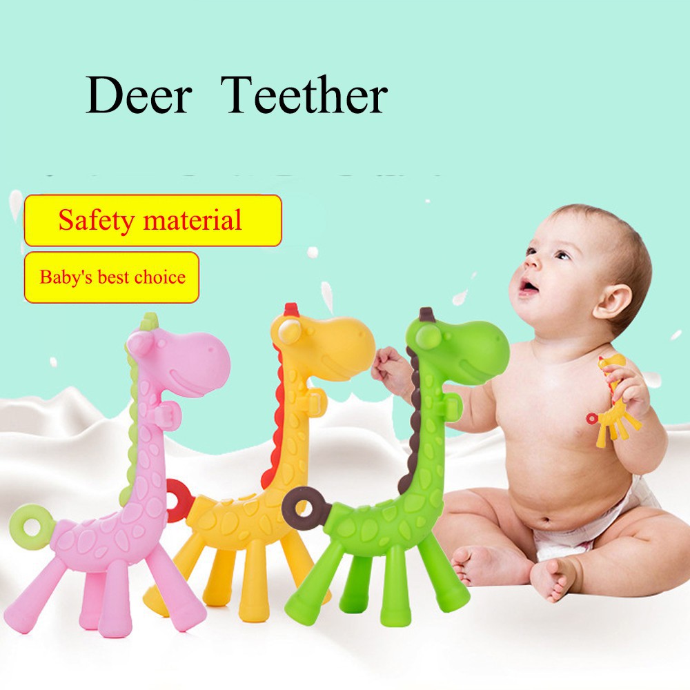 best teething toys for molars