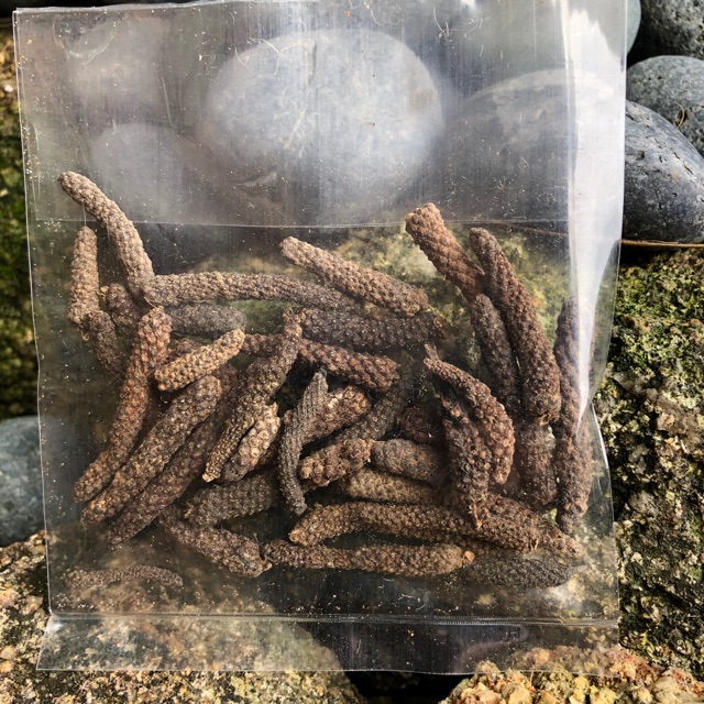 Shop Malaysia Cabe Jawa Long Pepper Shopee Singapore