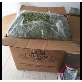 Fresh oxbow Timothy hay wholesale price