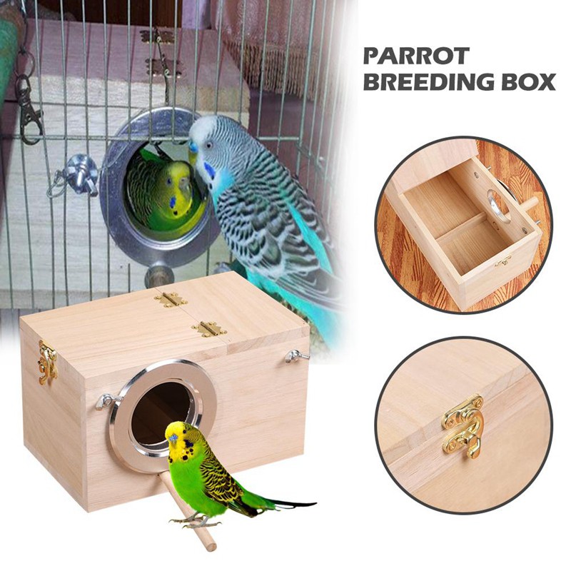 budgerigar breeding box