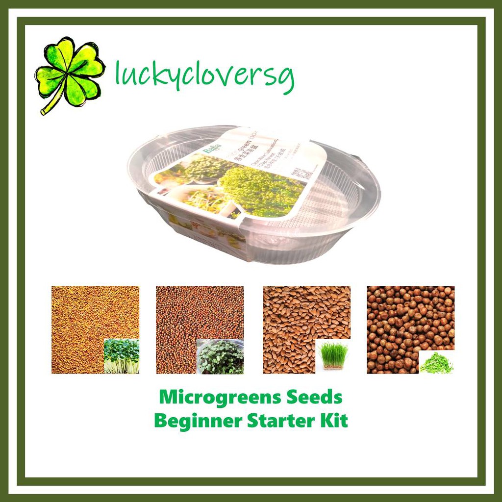 Picture Idea: Microgreens Seeds Beginner Starter Kit Microgreen Tray Box Baba