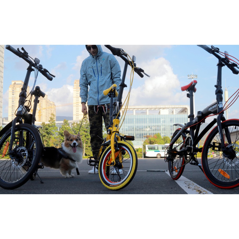 hachiko foldable bike