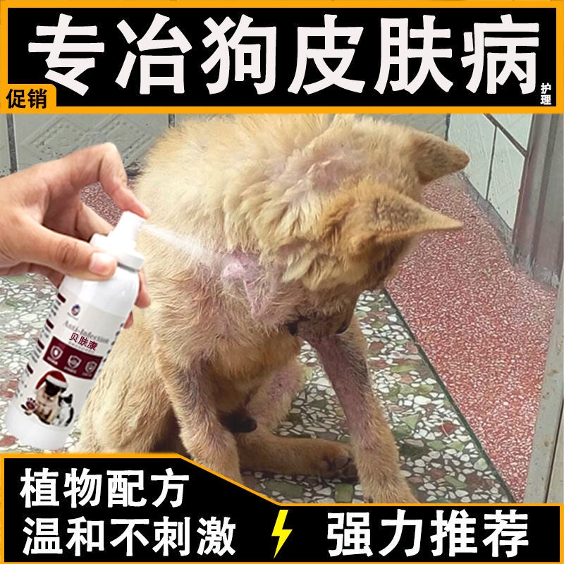 Treatment Of Dog Mites Dog Skin Disease Fungus Mites Topical Mite Spray