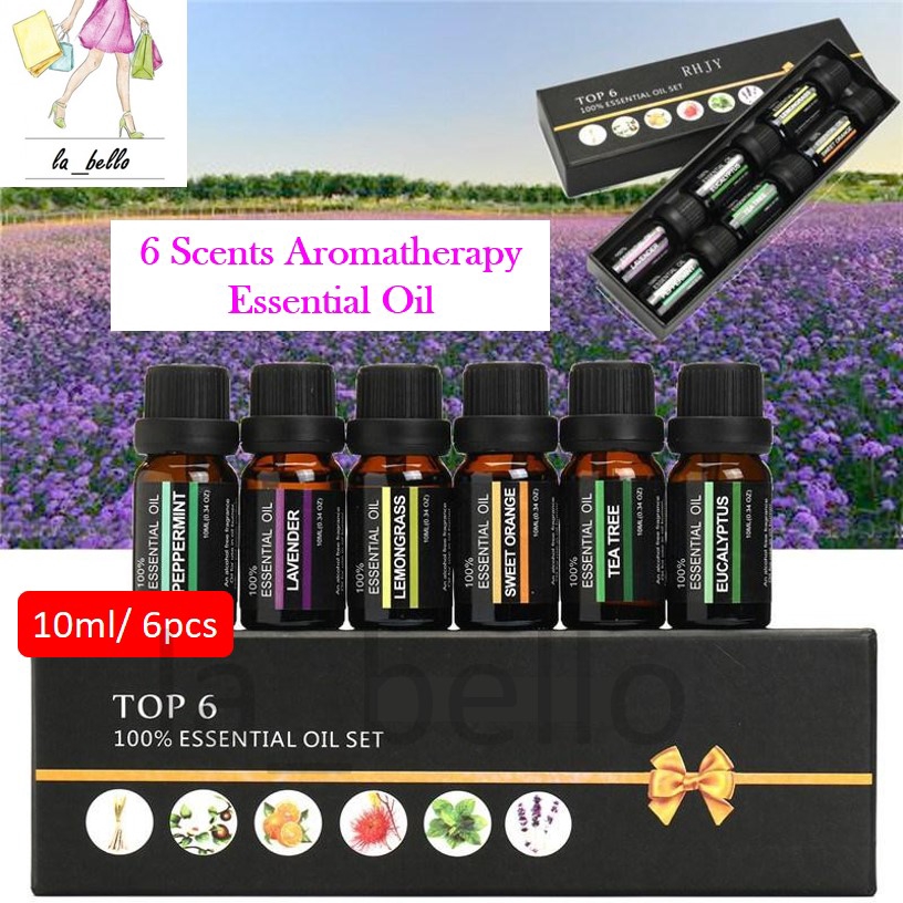 Shop Malaysia 6 Scents Top 6 100 Essential Oil Set Aromatherapy Essential Oil Aroma Oil Stress Relief Air Humidifier Diffuser Shopee Singapore