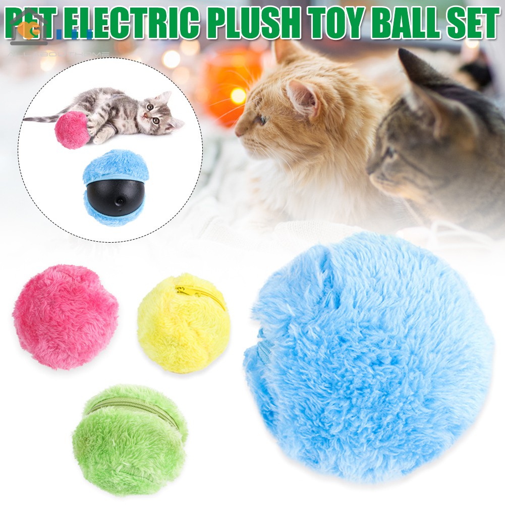 magic ball cat toy