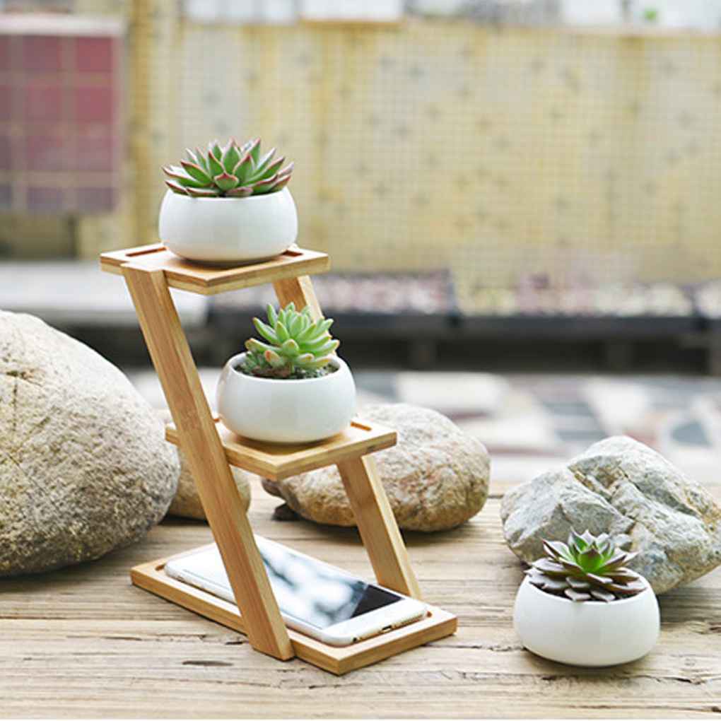 Small Round White Ceramic Succulent Plant Pot Cactus Planter for Succulent  Plant | Shopee Singapore