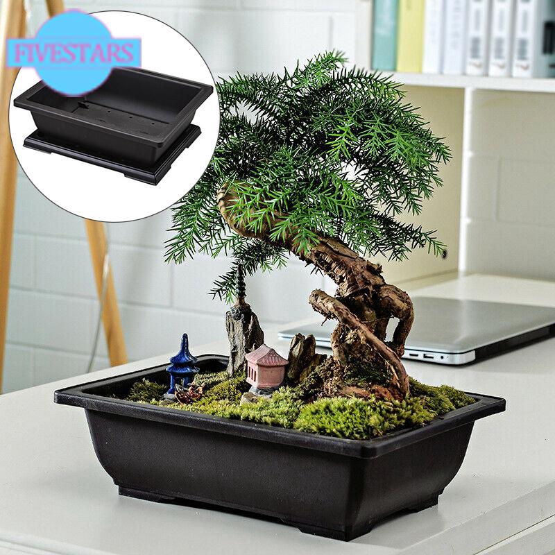 Flower Pot  Plastic Rectangle Bonsai  Nursery Planter 