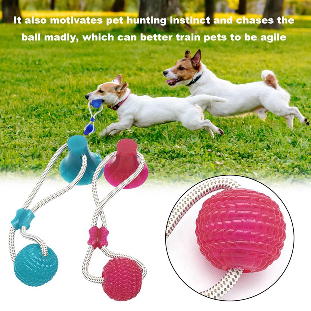 suction cup dog toy ball