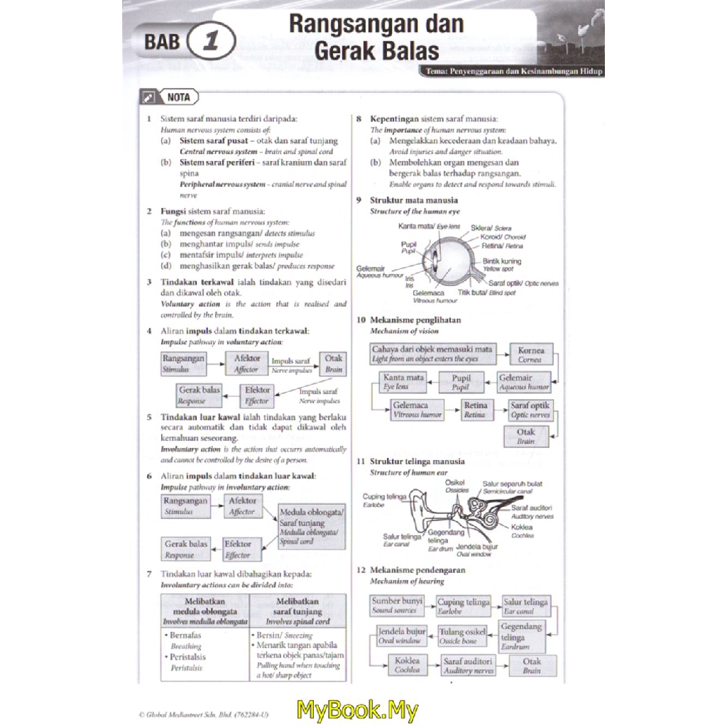 Jawapan Latihan Buku Teks Sejarah Tingkatan 1  Anirasota