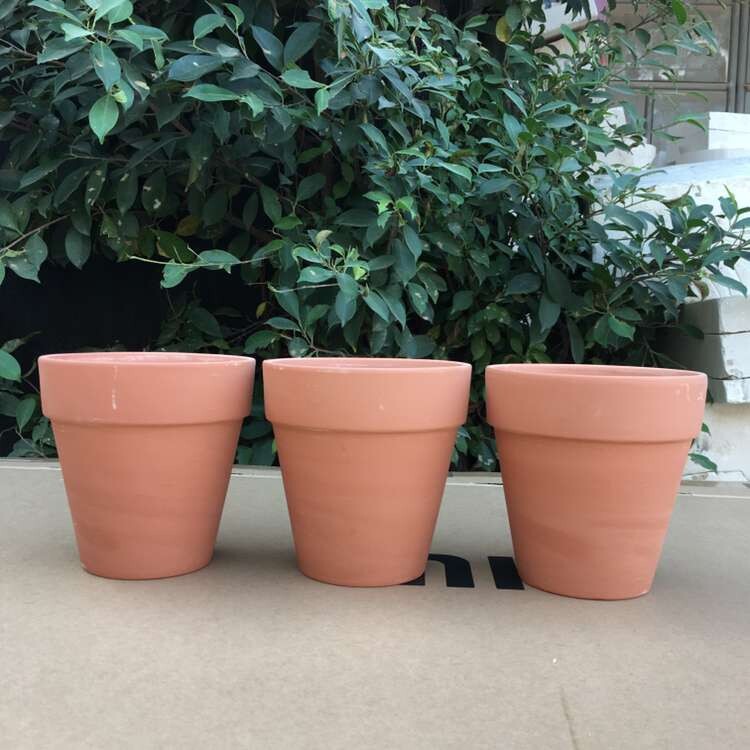Terracotta Pot Price And Deals Feb 2021 Shopee Singapore