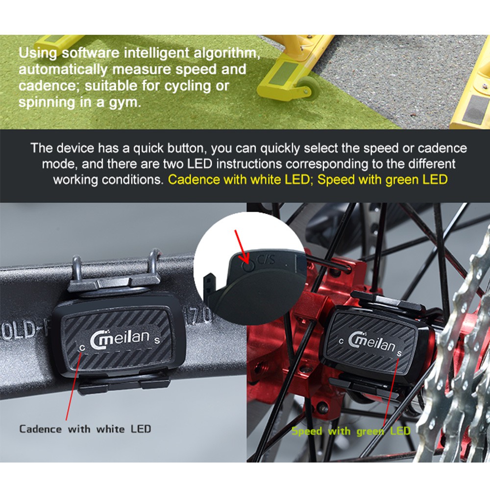 speed and cadence sensor for spin bike