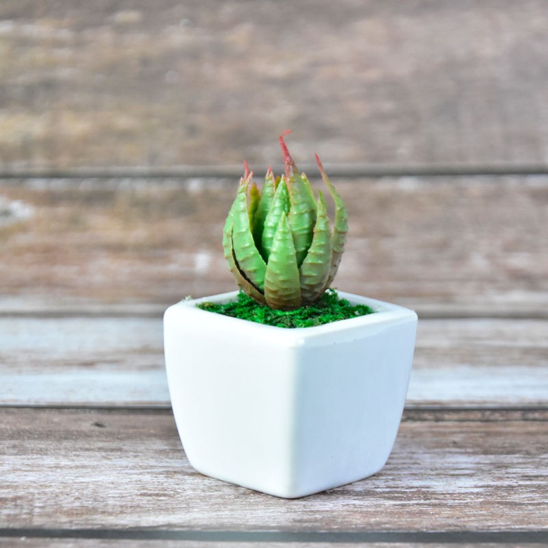 [Bunga] Simulasi periuk seramik mini Nordic succulent ...