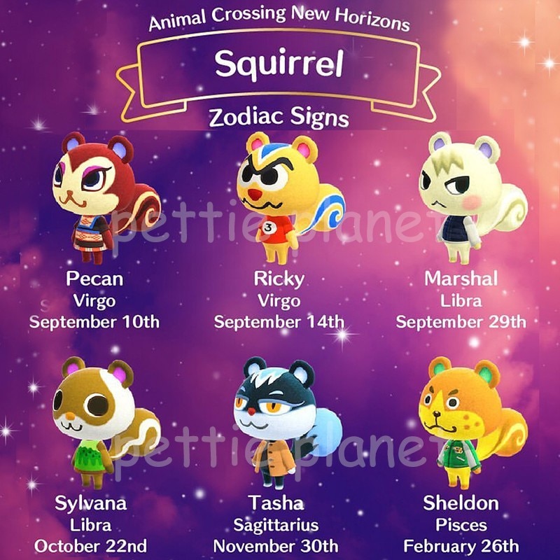 Animal Crossing Amiibo Squirrel Set Card New Horizons Series 1 2 3 4