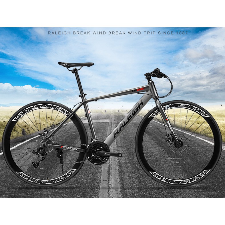 raleigh road bike rl880