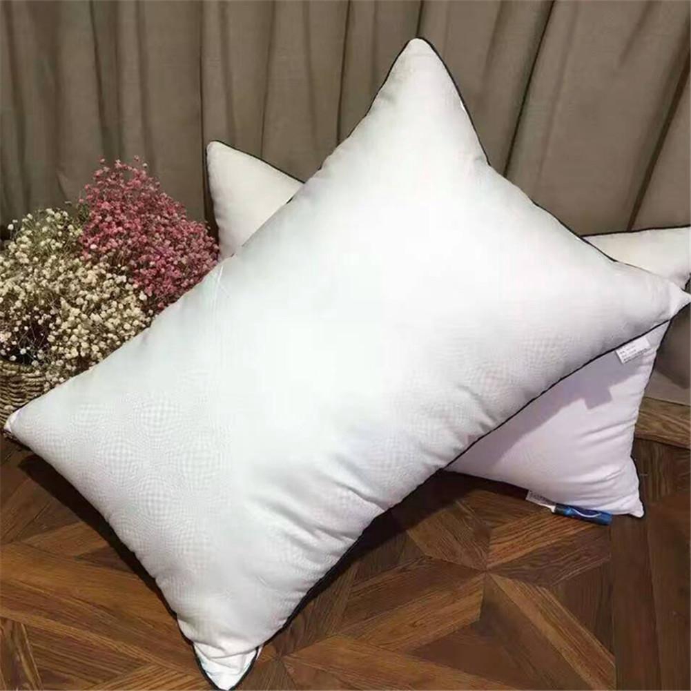 45cm*45cm/35x55cm/40x40cm Soft Various Decorative Bed Cushion Insert