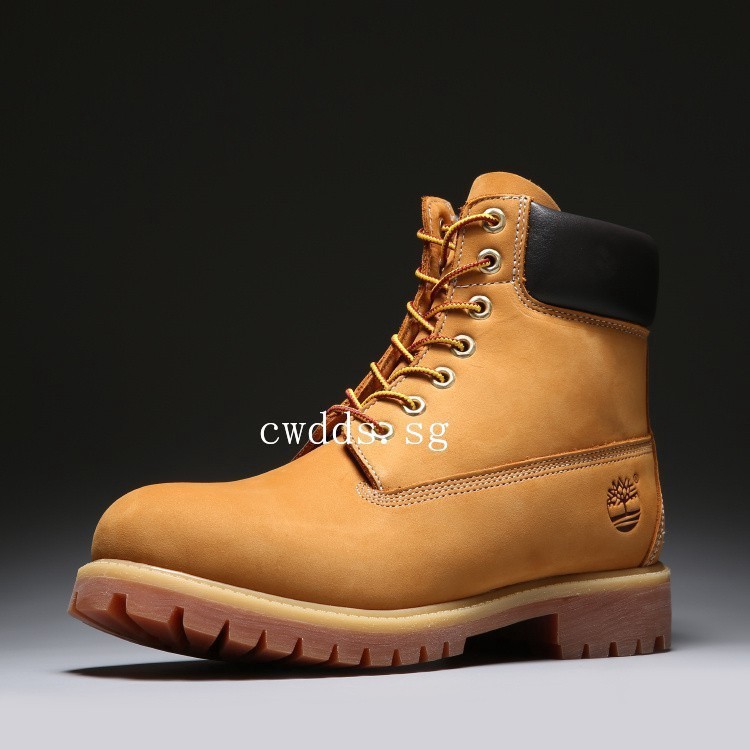 timberland sneaker men