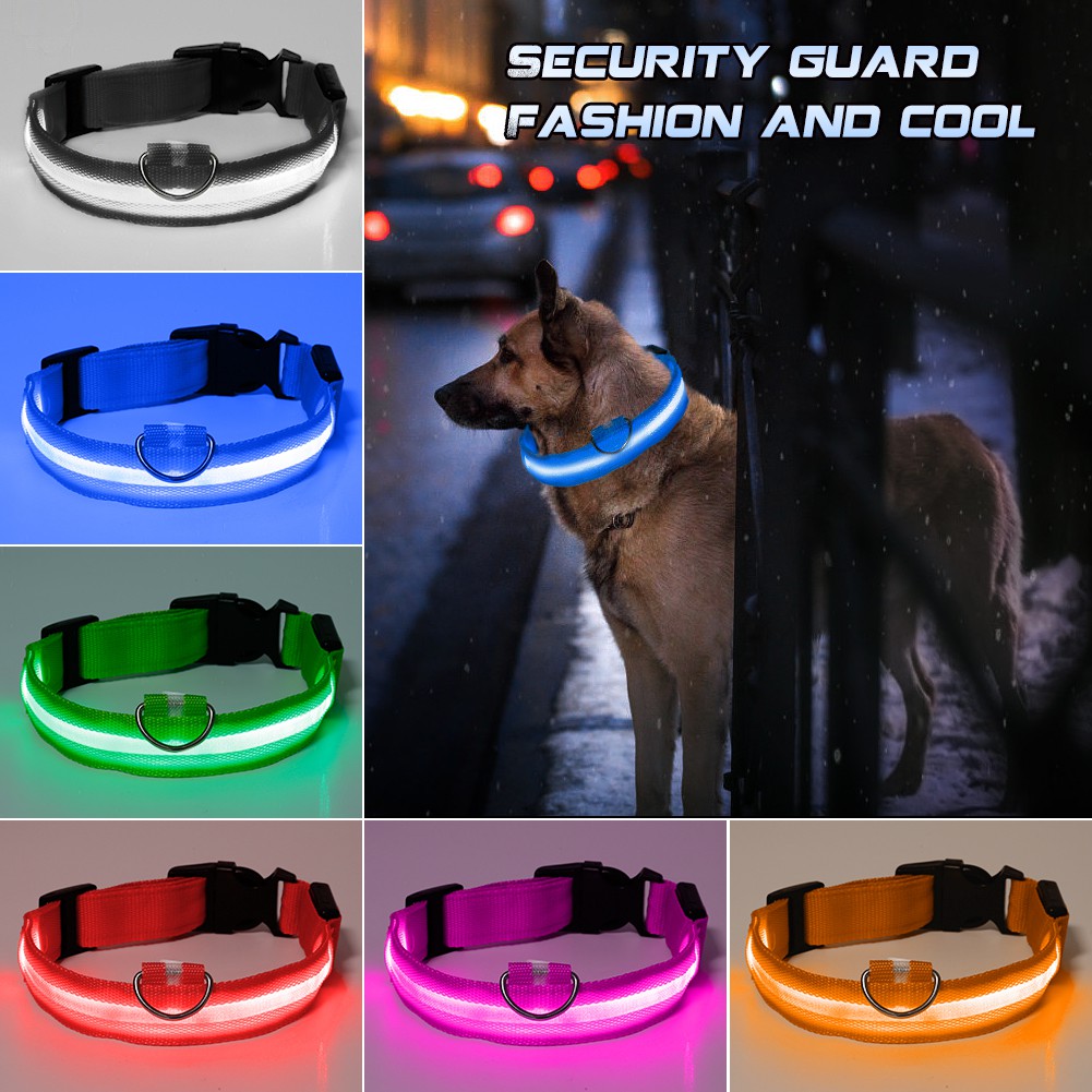 glow in the dark puppy collars