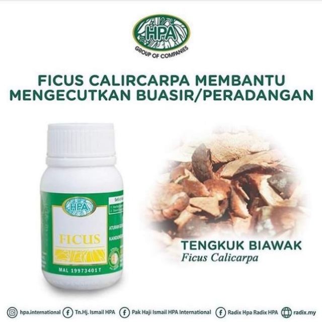 Hpa  Ficus Capsules  Buasir Sharpener  Shopee Singapore