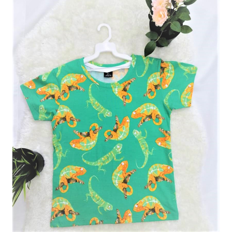 H M Baju  Budak Lelaki Comel Cute  Kids Boy Shirt 1 6Y 