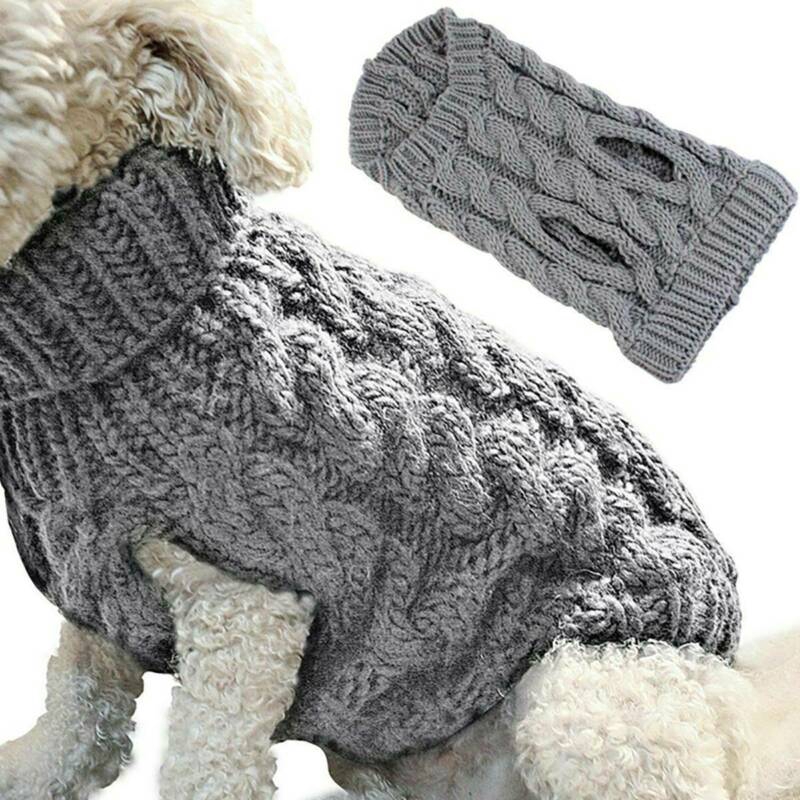 puppy winter clothes