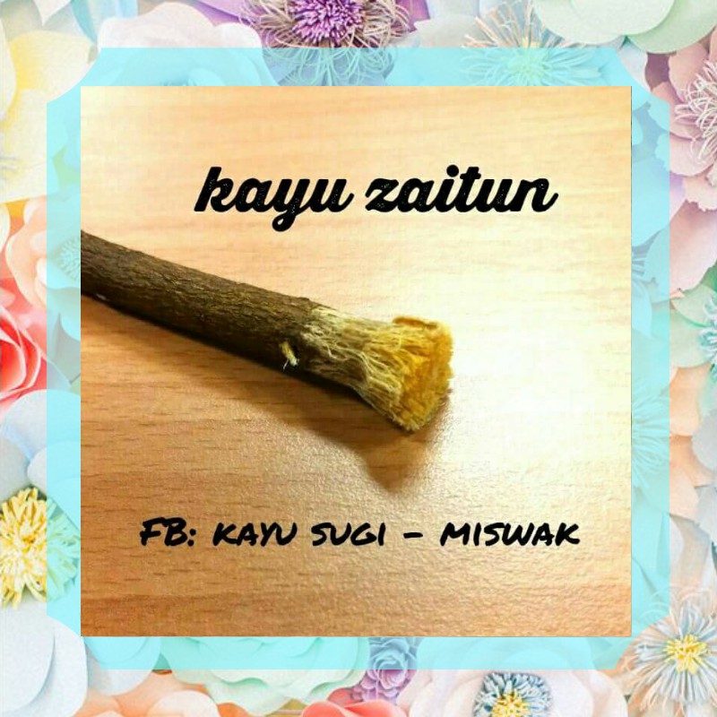 Kayu Sugi Jenis Kayu Zaitun Shopee Singapore