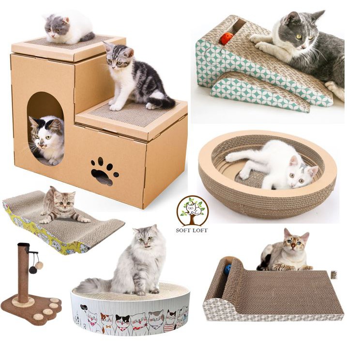 cat scratcher shopee