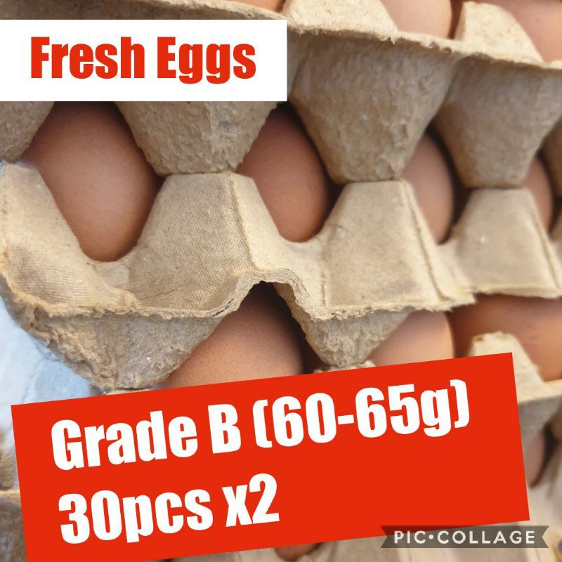 Fresh Eggs 30pcs x2 trays (Grade B) Shopee Singapore