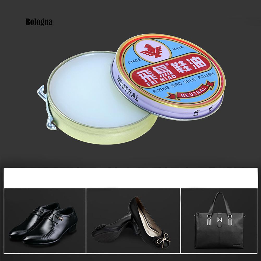 pro shine shoe polisher