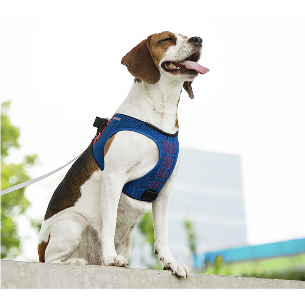 jump restraint dog harness petsmart