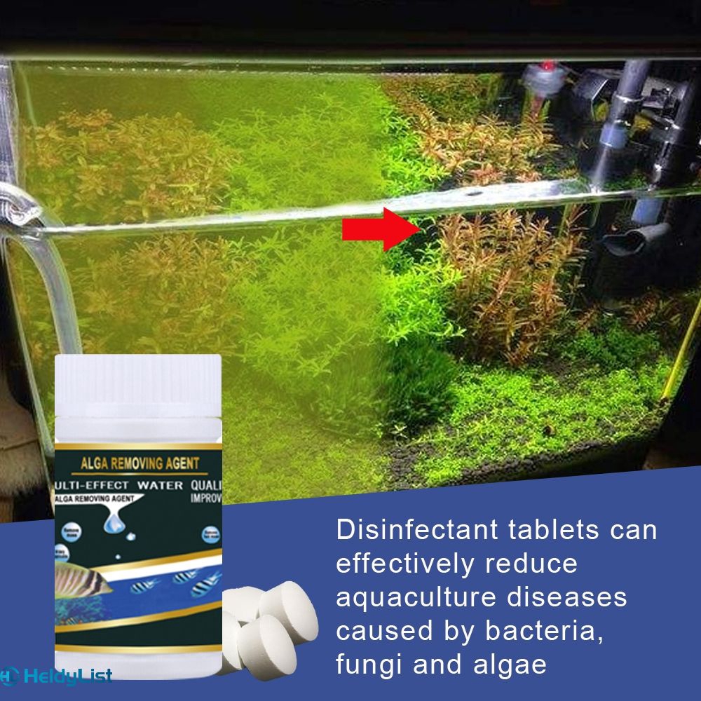 Diseases Caused By Algae