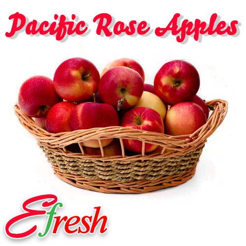 [PROMO] Bundle of Jumbo Size Pacific Rose Apples (10pcs) Shopee Singapore