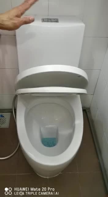 tornado flush toilet bowl
