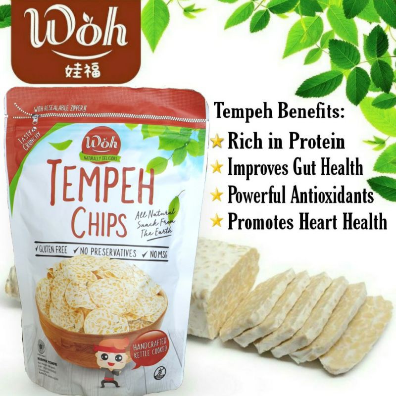 Handcrafted Woh Tempeh Chips 100g Shopee Singapore