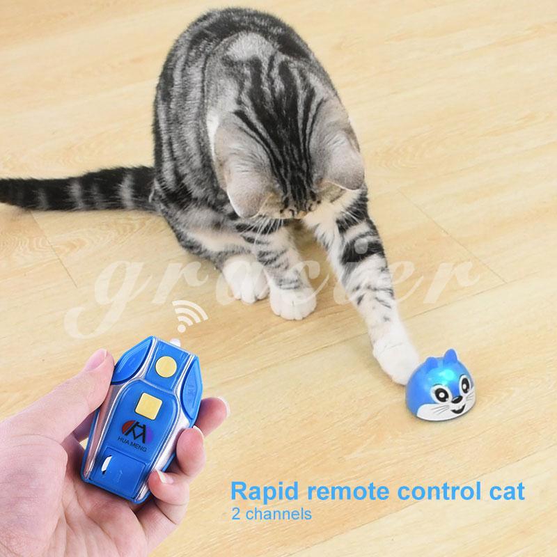 rc cat toy