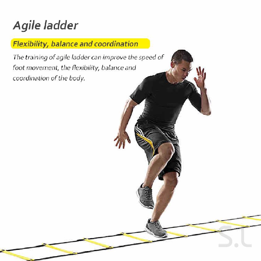 agile ladder