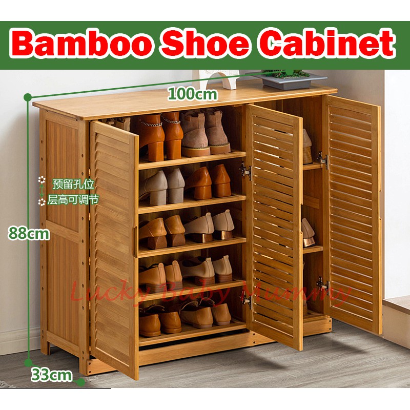Cabinet shoe rack