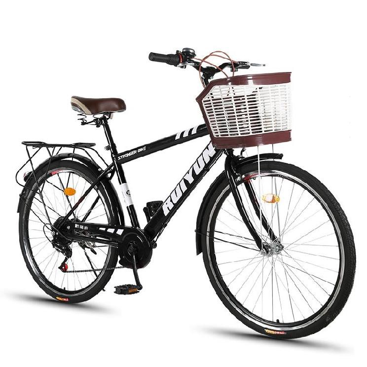 adult female bike