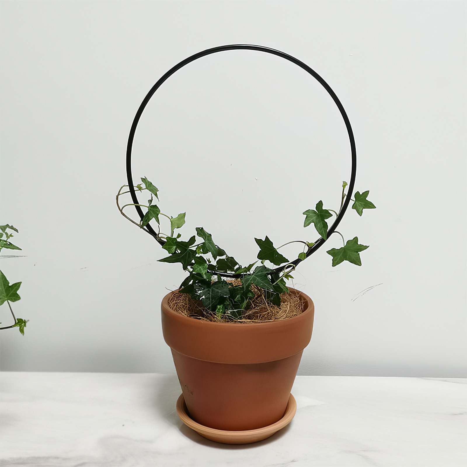 LT Metal Plant Trellis Circle Trellis For Iron Vine Trellis Potted