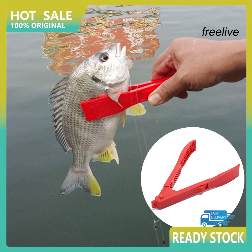 fish clamp holder
