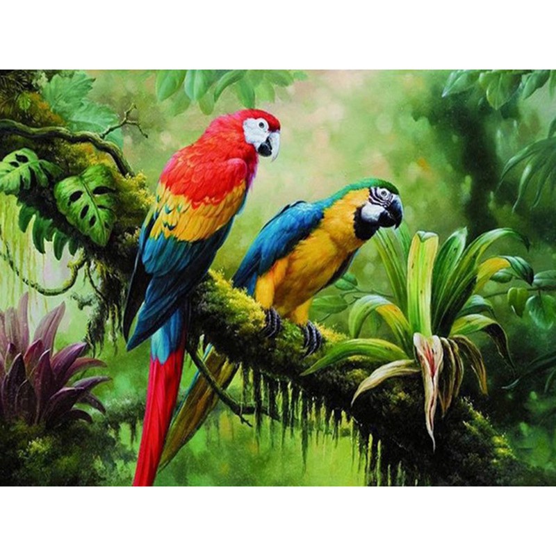 35 Terbaik Untuk Gambar Lukisan  Burung  Kakak Tua Pantherrka